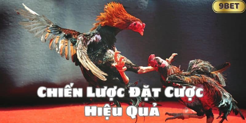 Chiến Lược Đặt Cược Hiệu Quả