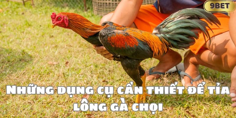 Những dụng cụ cần thiết để tỉa lông gà chọi